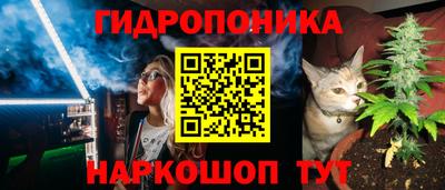 сатива Кулебаки