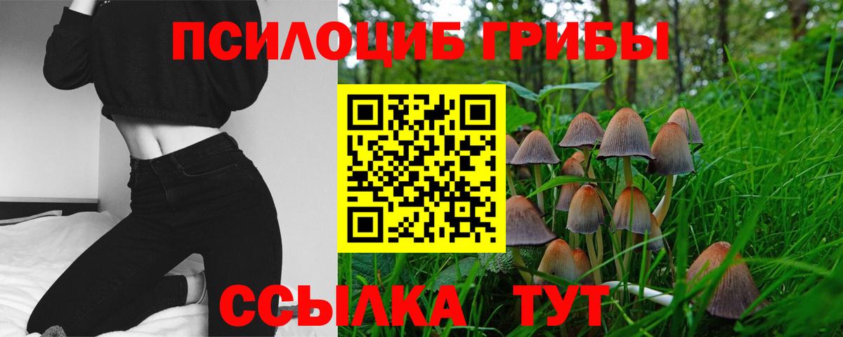 Губкин  Галлюциногенные грибы ЛСД  Вход с VPN 